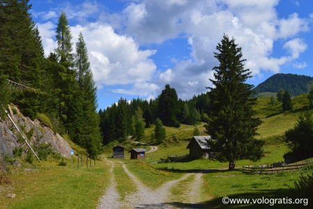 foto carinzia