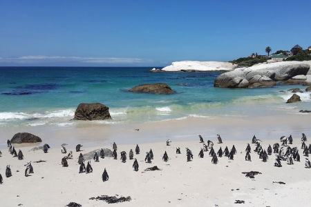 concorso per vincere un viaggio in sudafrica