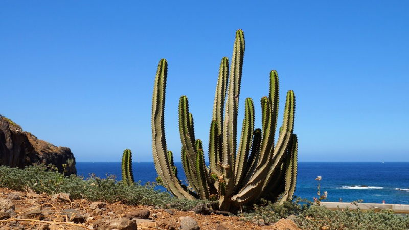 concorso per vincere viaggio a tenerife