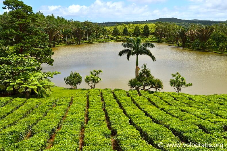 foto mauritius