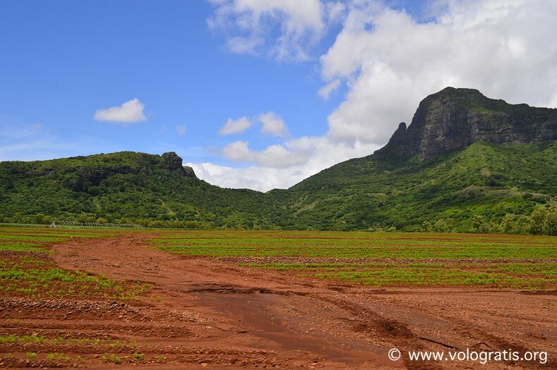 foto mauritius
