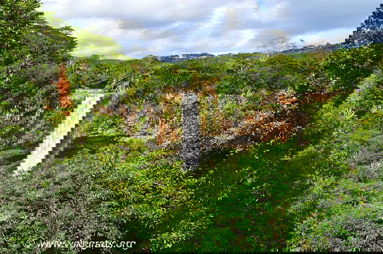 foto mauritius