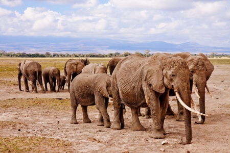 vinci un viaggio in kenya
