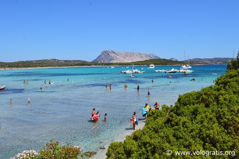 Cosa fare a San Teodoro in Sardegna. La guida completa preview