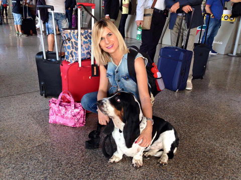 Come viaggiare con il cane: tutto quello che devi sapere preview