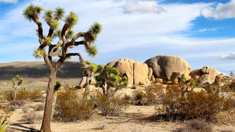 concorso per vincere un viaggio in california