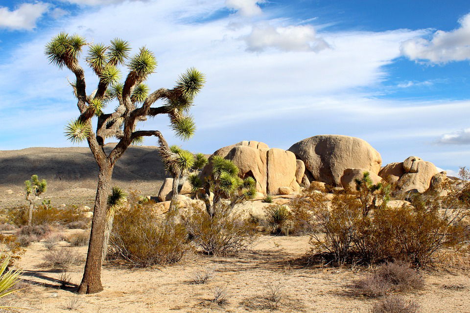 Concorso per vincere un viaggio in California con Virgin Radio article-post