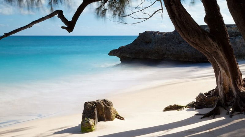 voli per le barbados