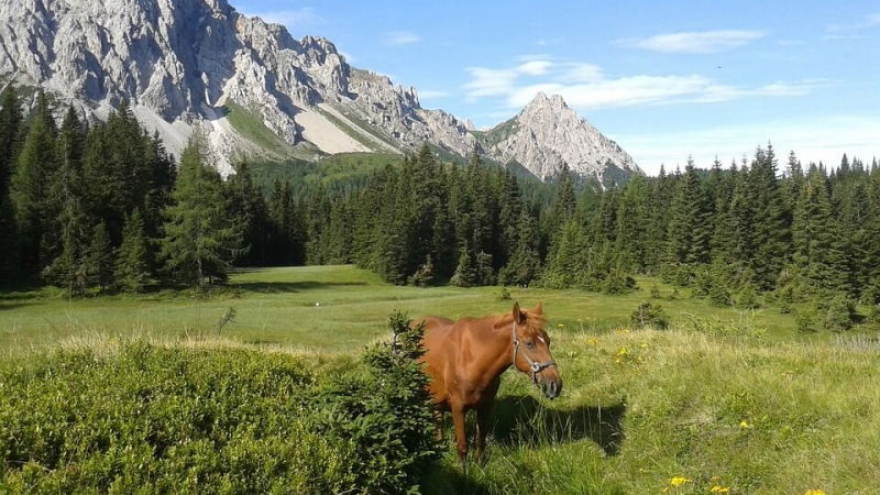 guida lonely planet friuli venezia giulia gratis