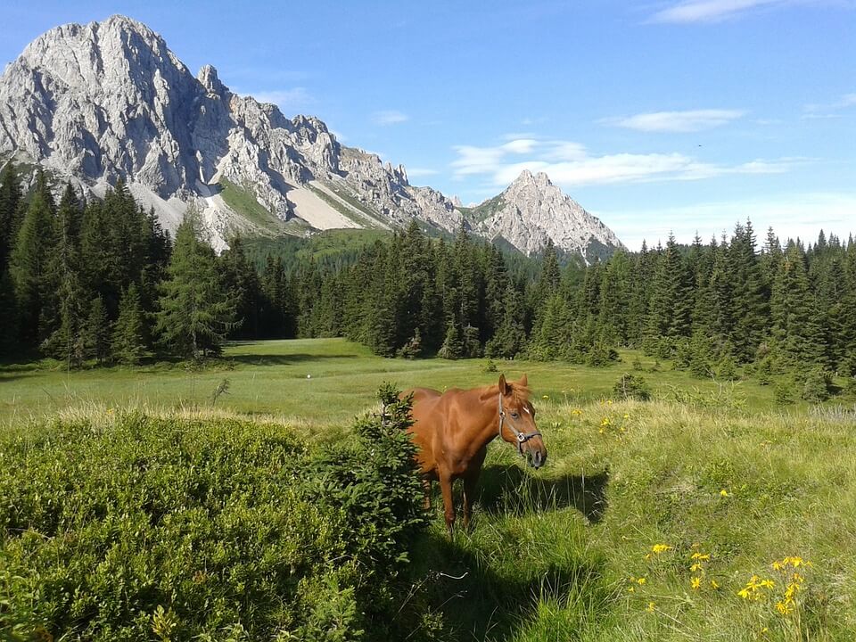Scarica gratis la guida Lonely Planet Friuli Venezia Giulia