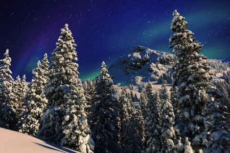 concorso per vincere un viaggio in lapponia
