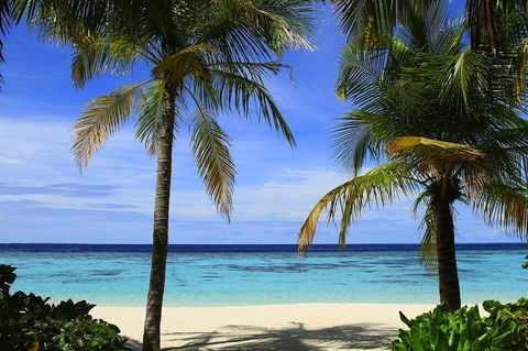 Concorso per vincere un volo Lufthansa per una meta da sogno preview