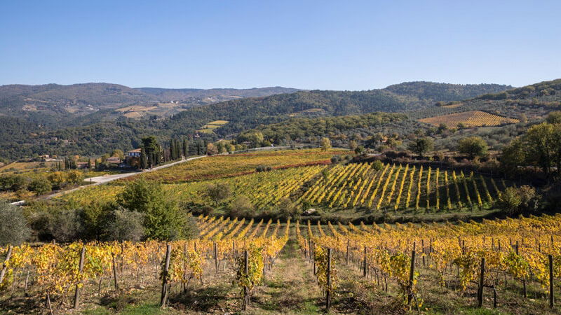 cosa vedere in toscana