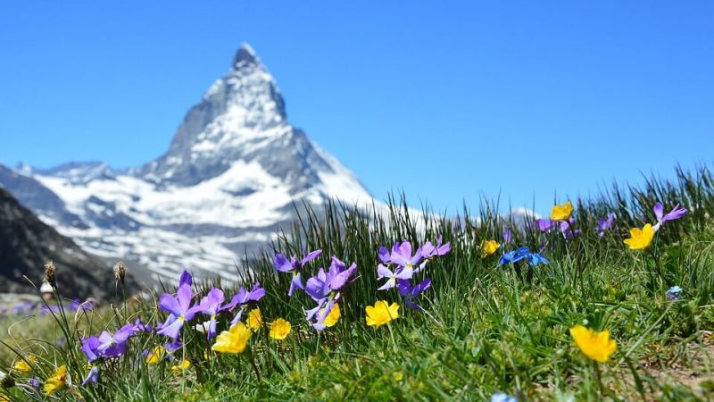 concorso per vincere una vacanza in svizzera