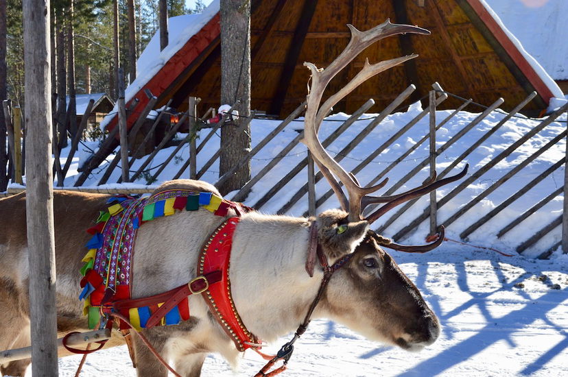 Diario di viaggio nella Lapponia finlandese preview