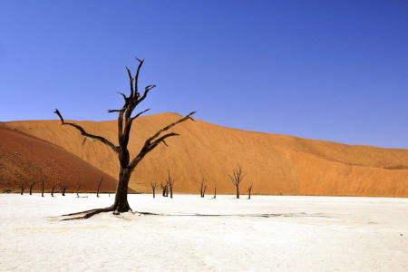 concorso per vincere biglietti aerei per la Namibia