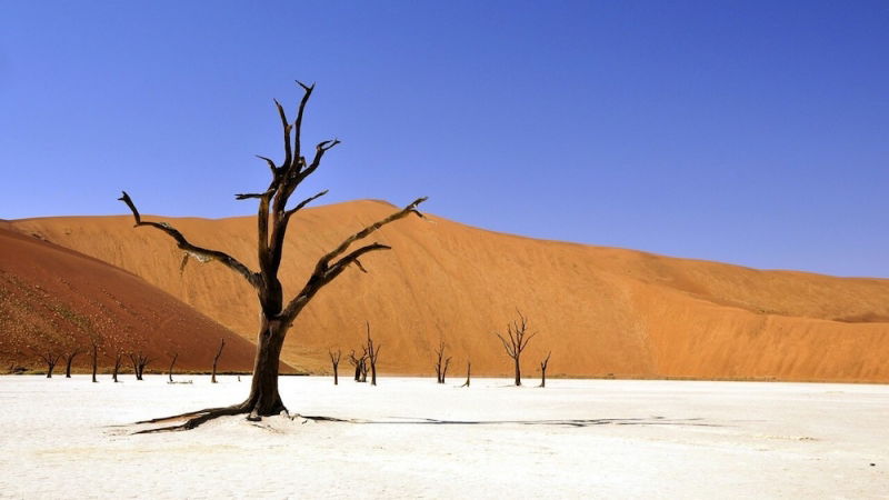 concorso per vincere biglietti aerei per la Namibia