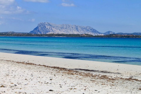 Isola di Tavolara: guida completa per visitare il regno più piccolo del mondo preview