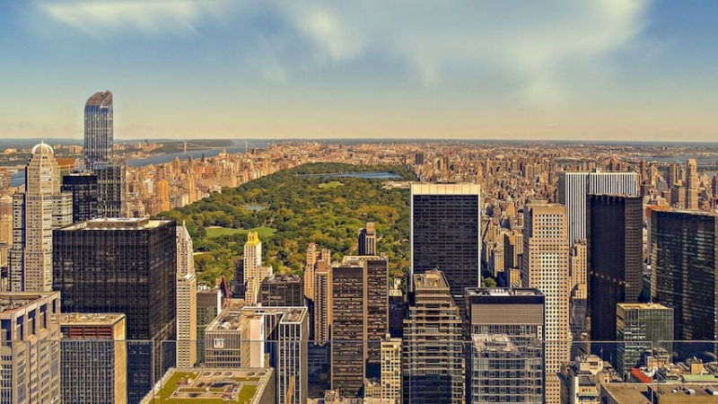 vinci viaggio new york