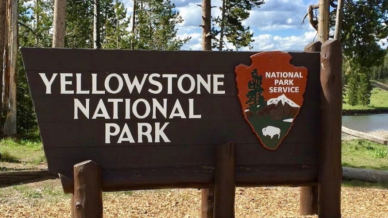 concorso per vincere viaggio yellowstone