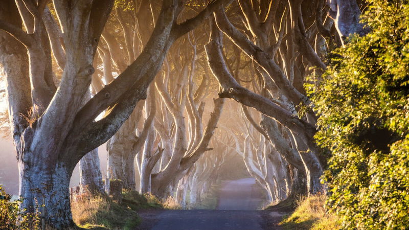 trono di spade location irlanda