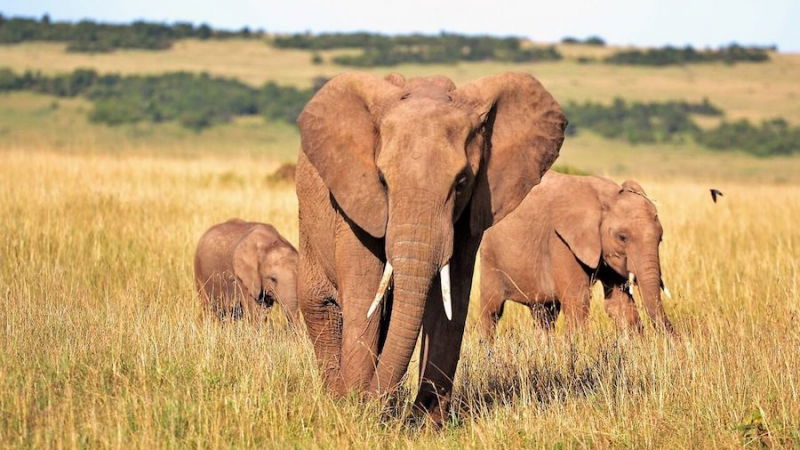 concorso per vincere un viaggio in kenya
