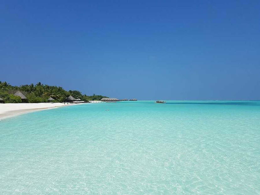 Vinci una vacanza alle Maldive per accudire le tartarughe marine preview