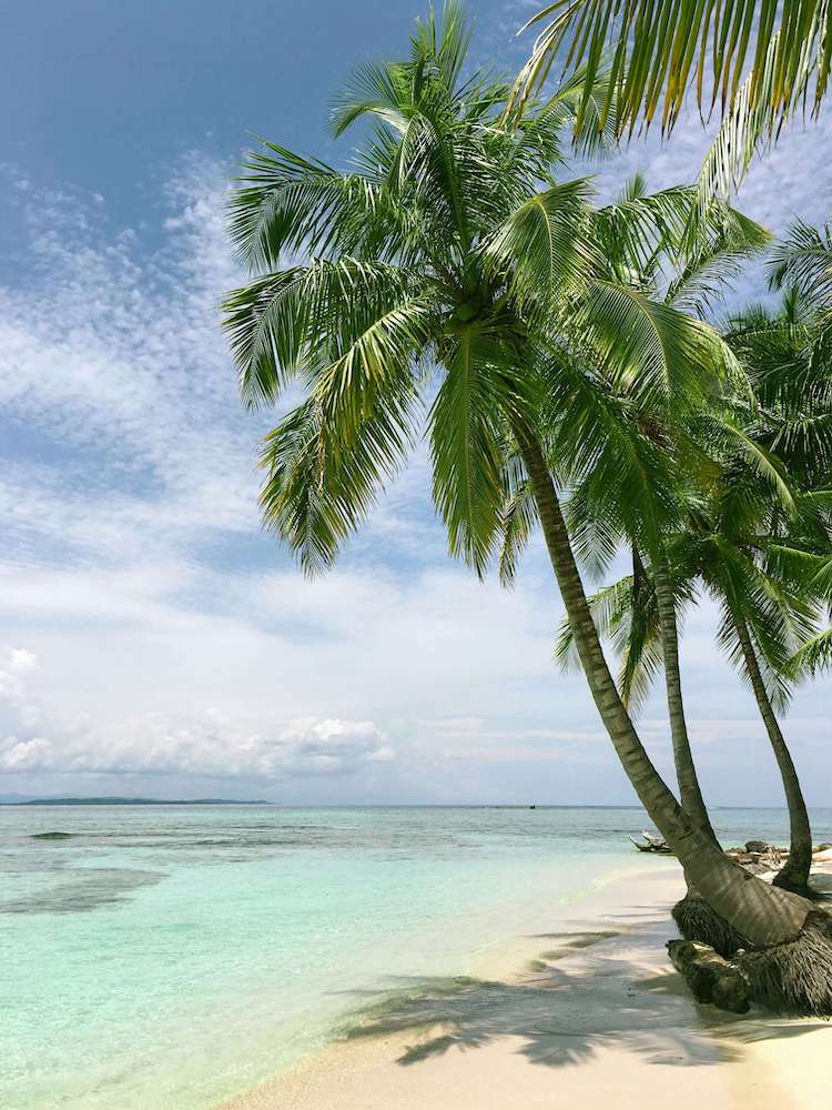 Concorso per vincere una crociera ai Caraibi article-post