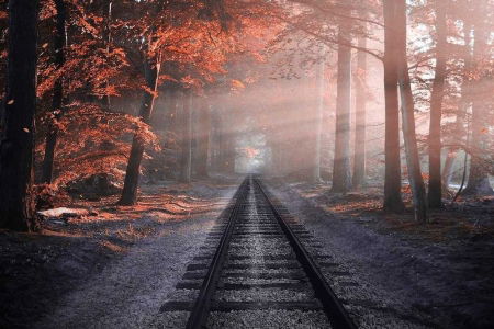 offerta young trenitalia