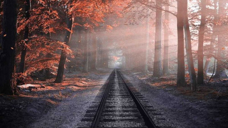 offerta young trenitalia