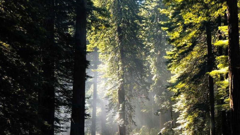 concorso per vincere un viaggio in california