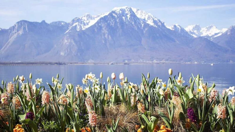 concorso vincere viaggio svizzera montreux jazz festival