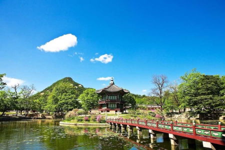 concorso lonely planet vincere viaggio corea
