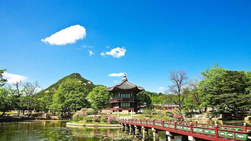 concorso lonely planet vincere viaggio corea