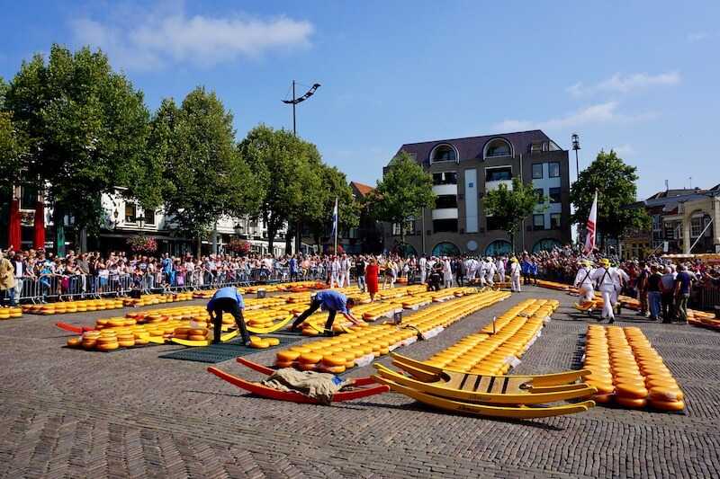 Il mercato del formaggio di Alkmaar