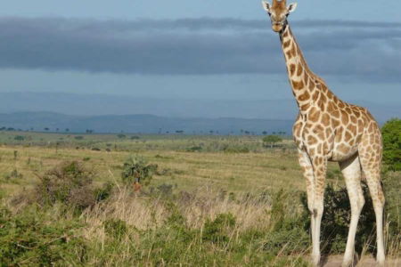 concorso vincere viaggio della vita lonely planet