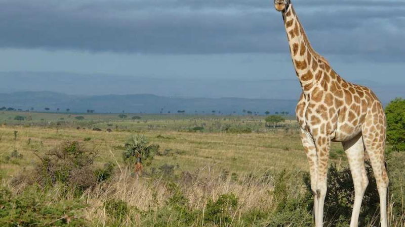 concorso vincere viaggio della vita lonely planet