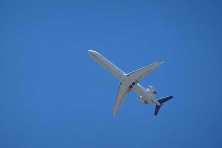 concorso lufthansa