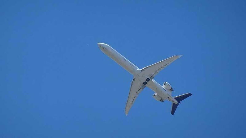 concorso lufthansa