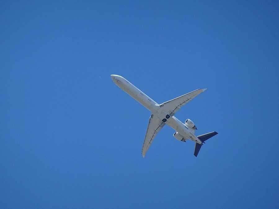 concorso lufthansa