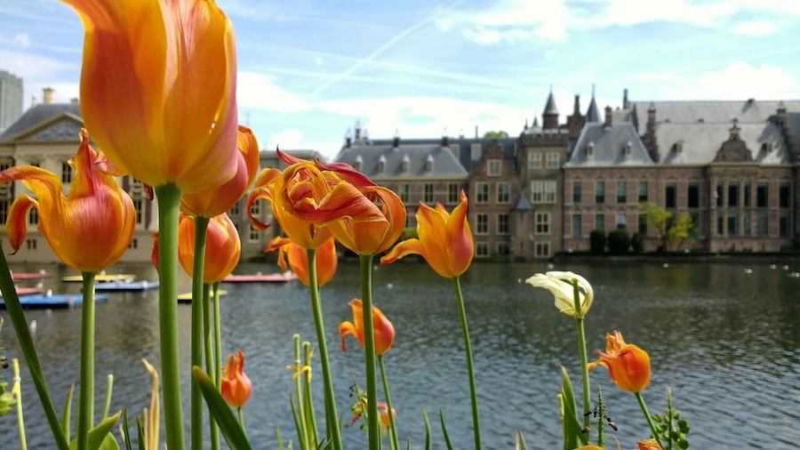 den haag