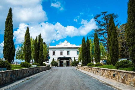villa tolomei firenze