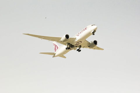 Biglietti Gratis Qatar Airways per gli insegnanti preview