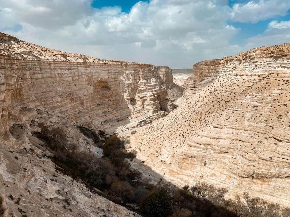 deserto negev israele (2)