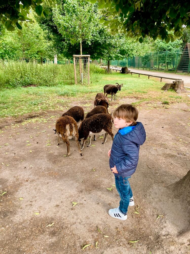 Lindenthal Petting Zoo colonia