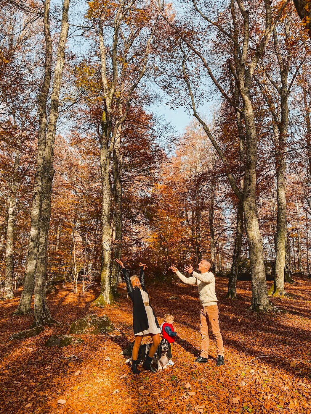 Foliage nel Lazio: i luoghi più belli in cui ammirare i colori dell’autunno article-post