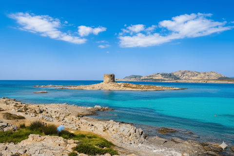 Le Spiagge Più Belle del Mondo 2026 (e ci sono anche 3 italiane!) preview