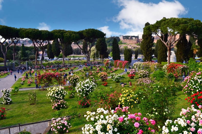 13 fioriture spettacolari da vedere in Italia almeno una volta nella vita preview