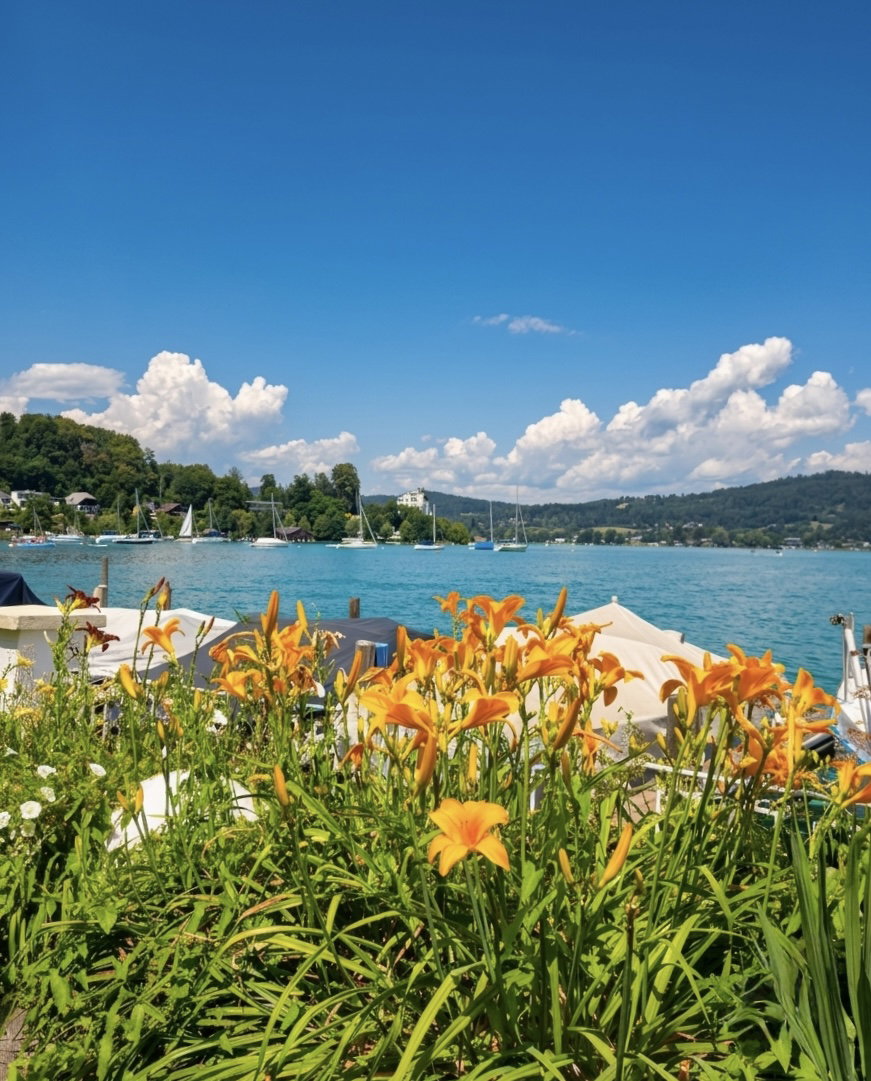 cosa vedere in carinzia laghi