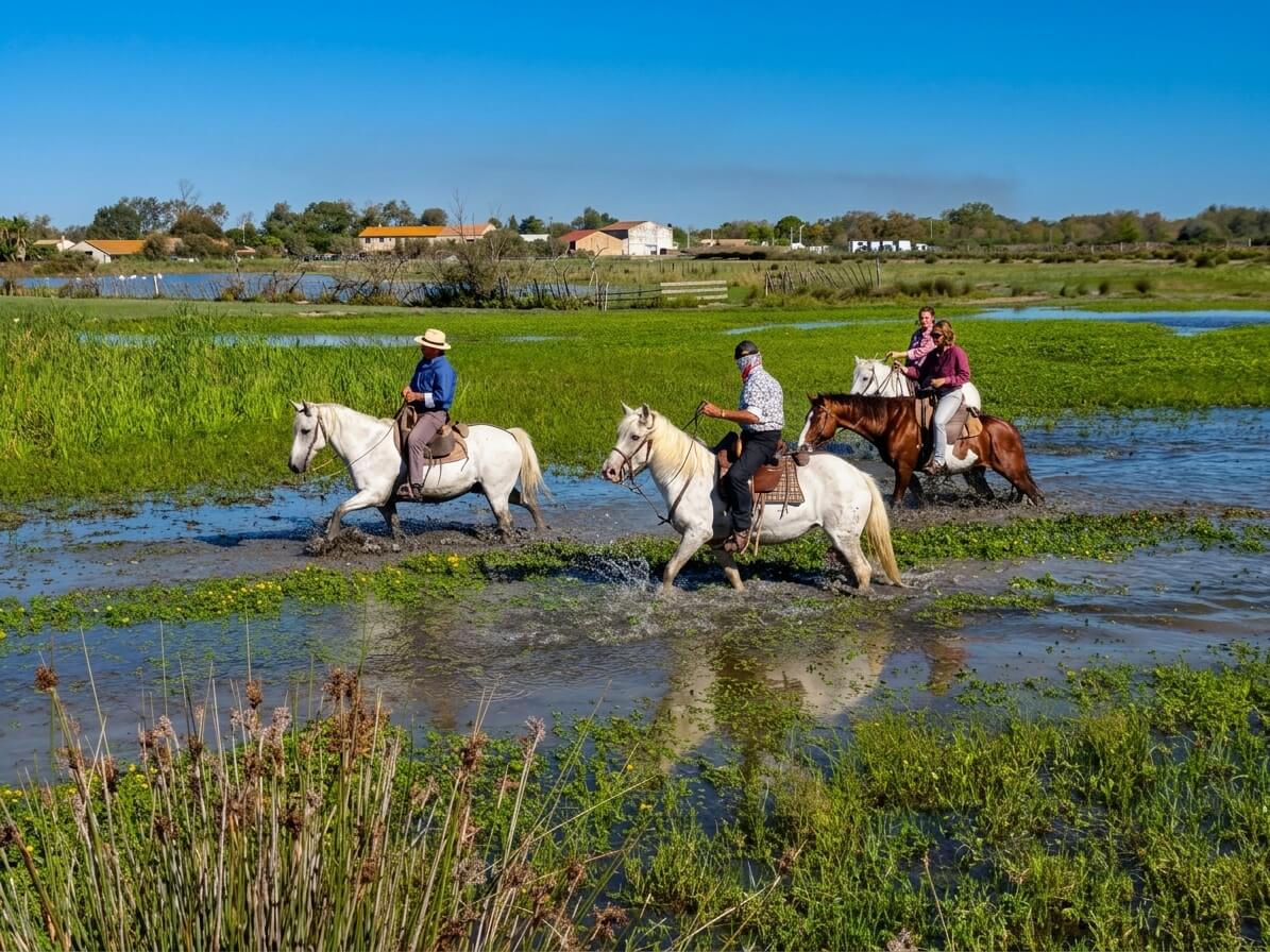 Camargue e Arles: il nostro viaggio tra natura, storia e arte. Itinerario completo article-post
